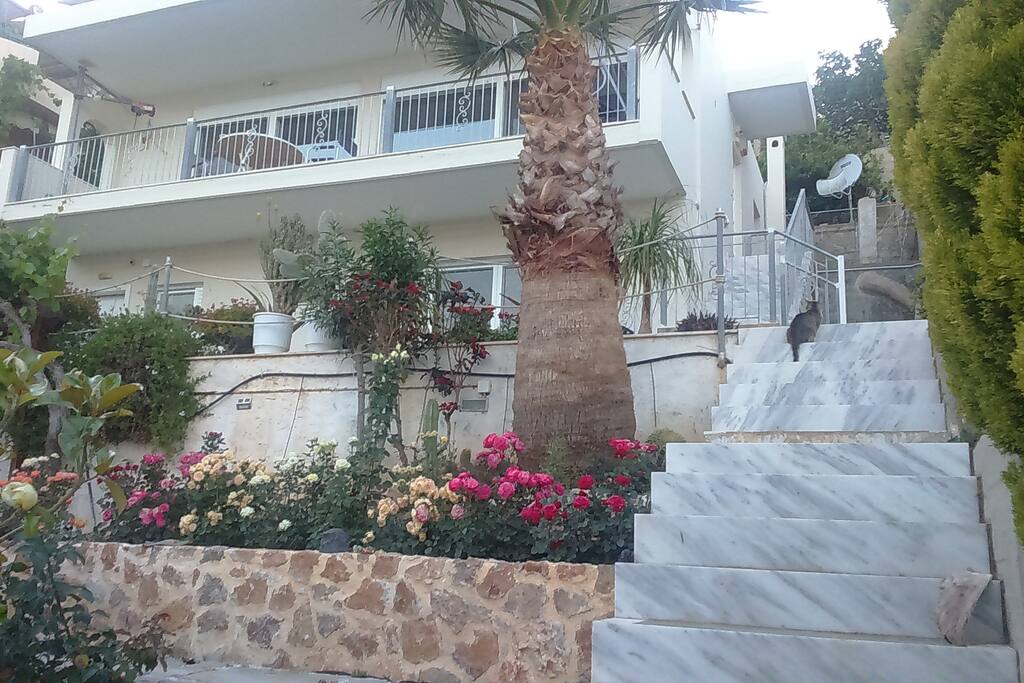 House view