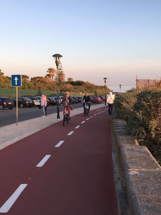 Bicycle rental is available in the beginning of the running and bicycle paths, which is 5 mins from the apartment.