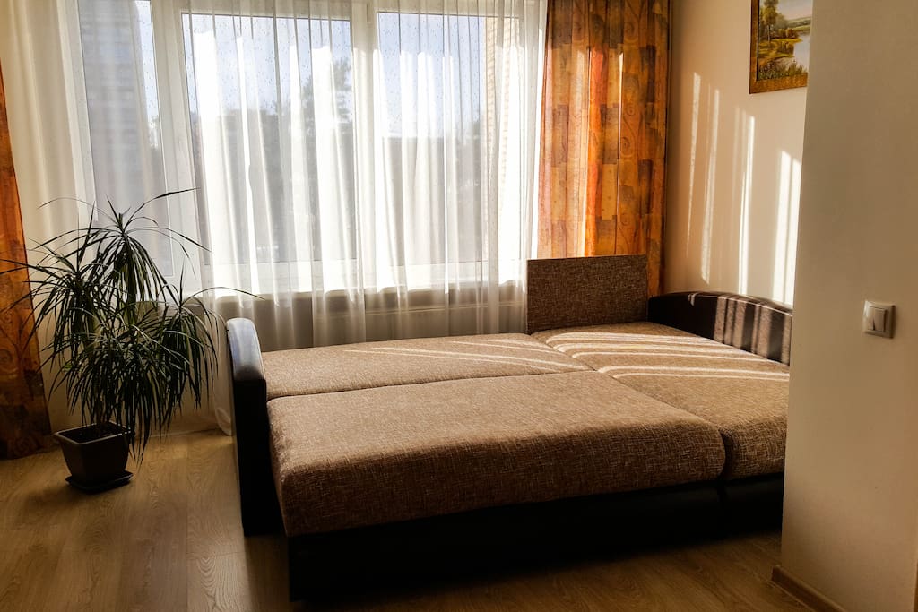 Bedroom - living room