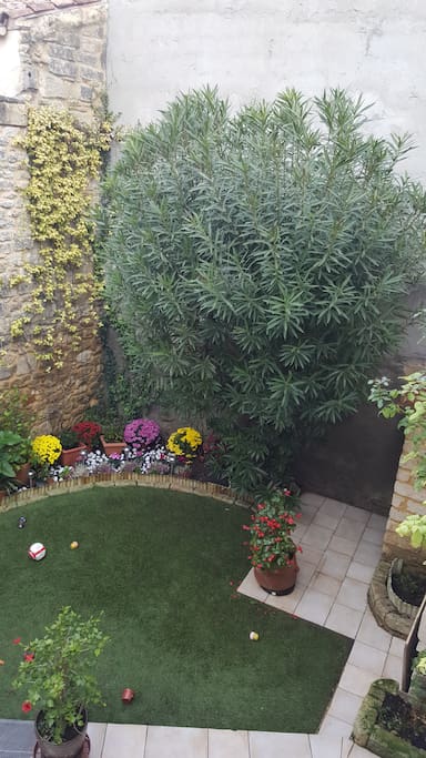 petit jardin