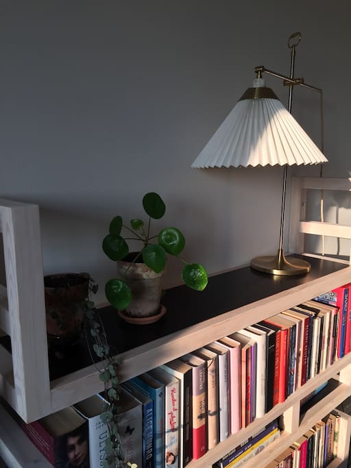 Afternoon lights