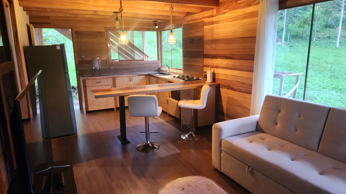 The open-plan kitchen and living area showcase wooden walls and large windows offering views of the surrounding nature. A compact kitchen with a gas stove and a refrigerator is complemented by a wooden dining table and modern seating. A light-colored sofa enhances the space's comfort.