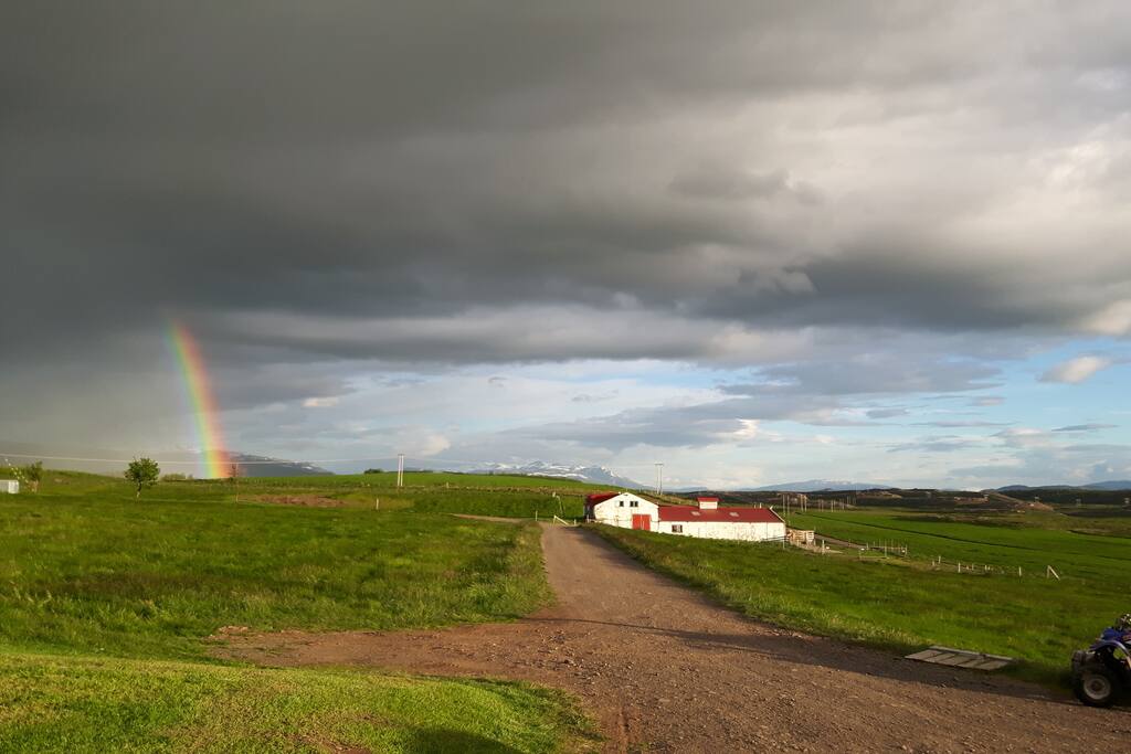 Our farm
