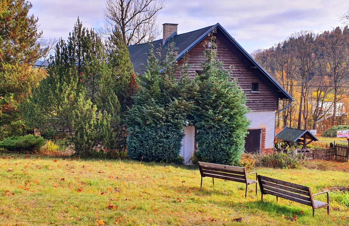 A cabin is nestled among trees, showcasing a mix of wooden and green exteriors. Two wooden benches are situated on a grassy area in front, offering a place to relax and enjoy the surrounding nature.