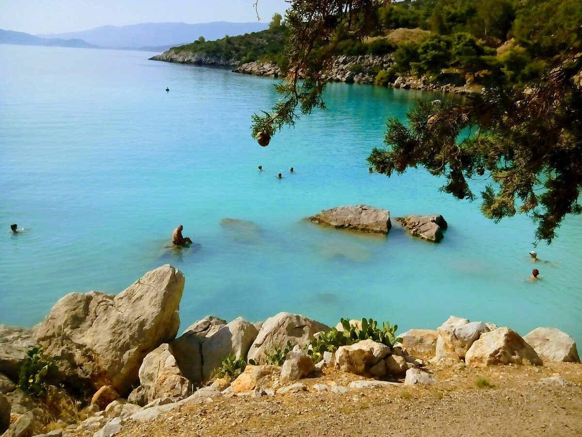 A serene coastal scene features calm turquoise waters and rocky shores. Swimmers are visible in the water, while smooth stones line the nearby beach amidst sparse greenery and trees, creating a natural border along the shoreline.