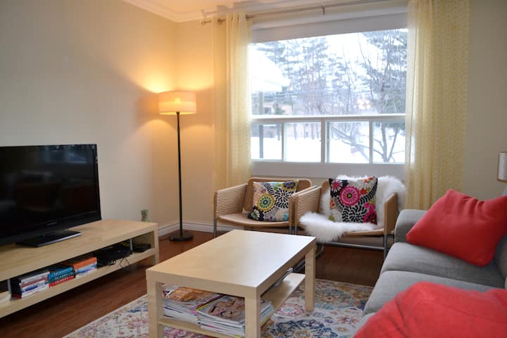 Appartement Coloré 2 Chambres Dans Le Vieux-nord - Sherbrooke