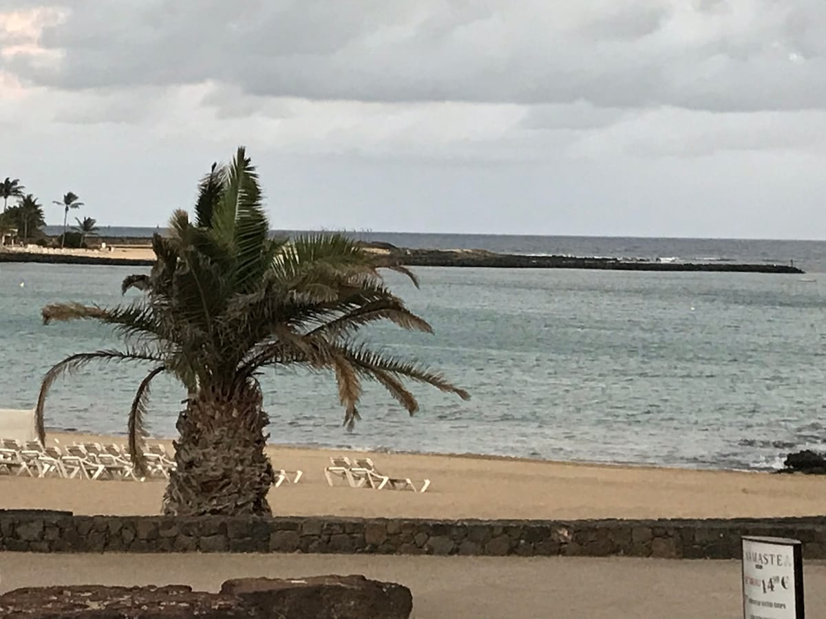 A sandy beach stretches into the distance, framed by a single palm tree. Sun loungers are arranged in neat rows on the shore. The calm water reflects soft gray skies, while rocky formations can be seen along the horizon.