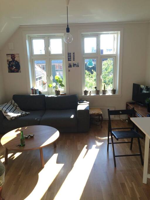 Livingroom. The couch is inflatable if necessary.