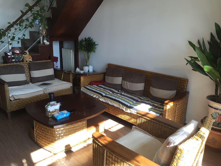客厅很多绿色植物。And many green plants in the living room .