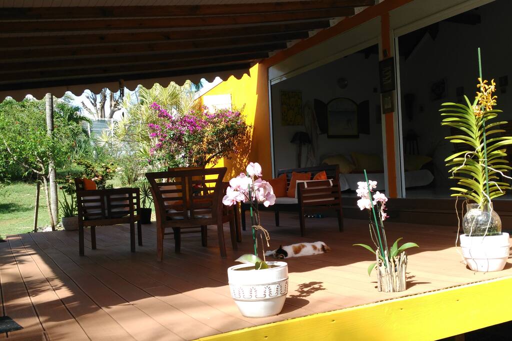 pergola couverte