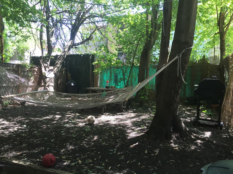 Backyard