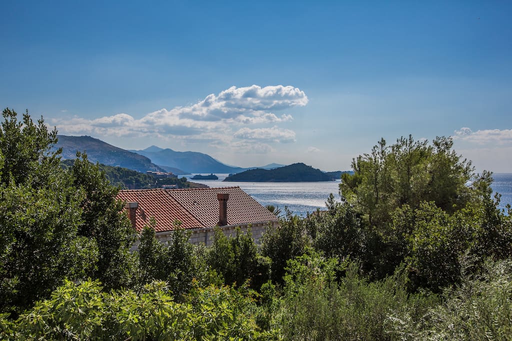View from studio