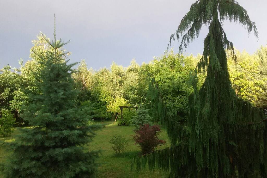 Widok na ogród.