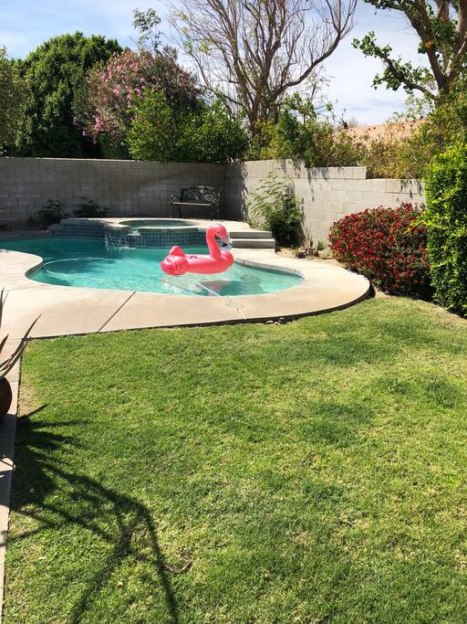 Grassy backyard