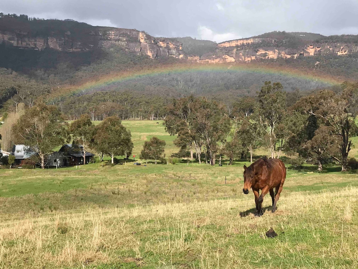 A horse walks across a grassy field, set against a backdrop of lush farmland and the dramatic Blue Mountains escarpment. A vibrant rainbow arches over the landscape, enhancing the natural beauty of the surroundings, which are dotted with trees.