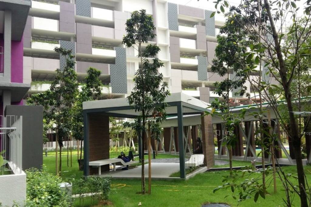 Setting area