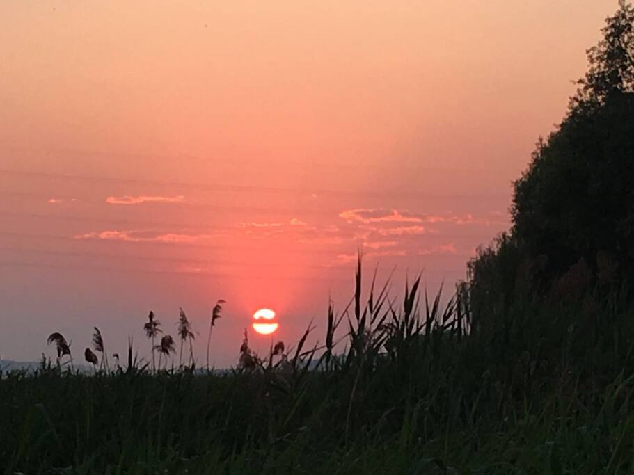 民宿的夕阳,没有城市的光污染。夜晚更是繁星满天。