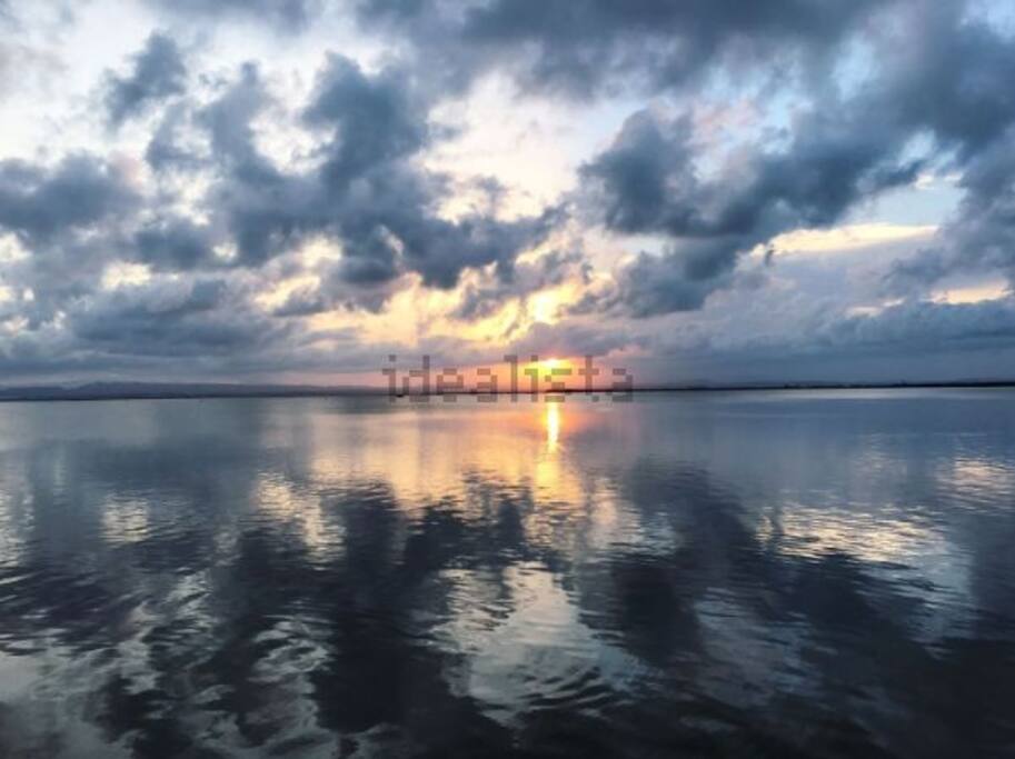 La albufera de Valencia a 5 minutos