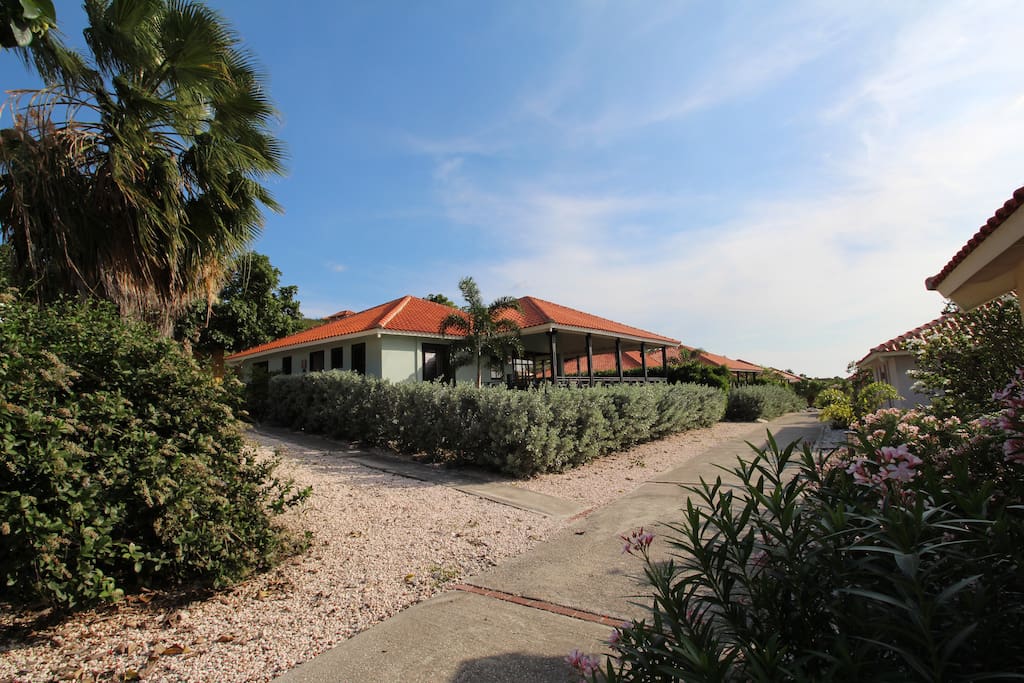 Spacious villa at 150m of 225 feet away from the Blue Bay beach. No upper, lower neighbors, so very private. No trafiic noise. Google nicelau for details villa, resort, trips and our car rental.