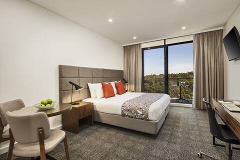 Studio Executive Apartment