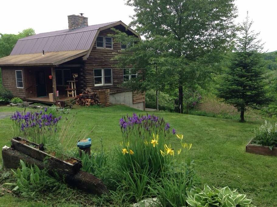 Beautiful studio apartment in a cabin on a scenic, quiet dirt road