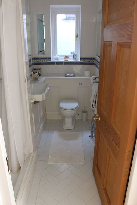 Shower room (downstairs).