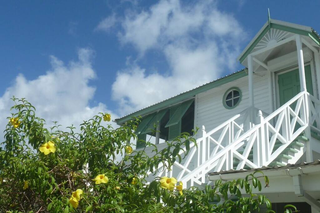 Steps to Loft and Allamanda flowers.
