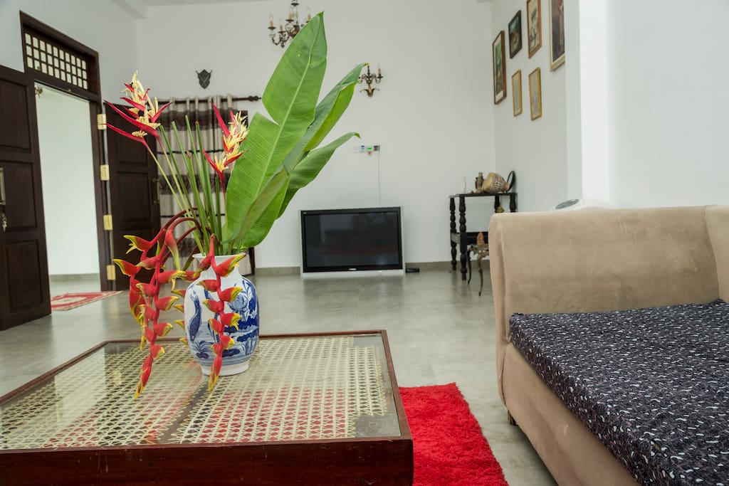 Living / TV Room