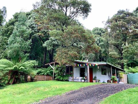 Rainforest Sanctuary in Paradise