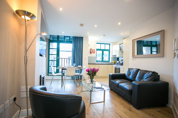 Temple Bar Modern 2 Bed Apt in the heart of city