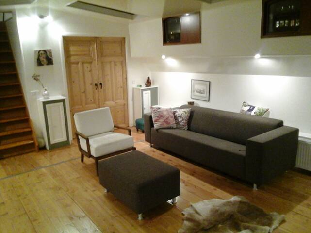 Hermitage museum boat with amstel river vieuw gallery image 5