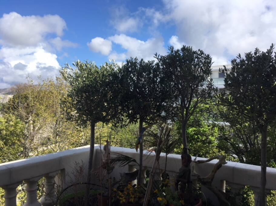 Terrasse ..