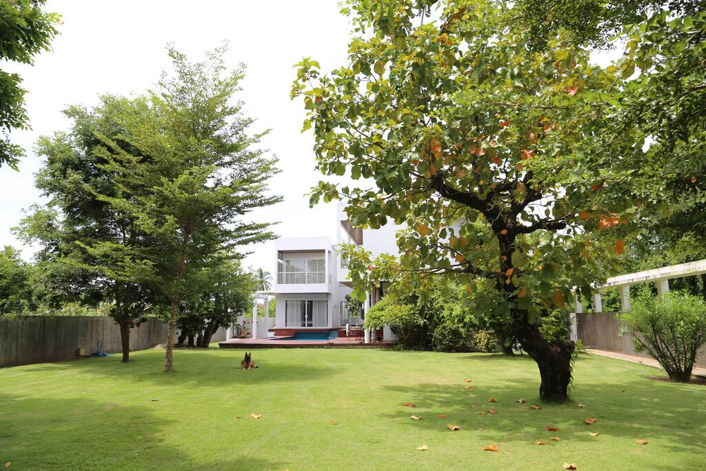garden view 2