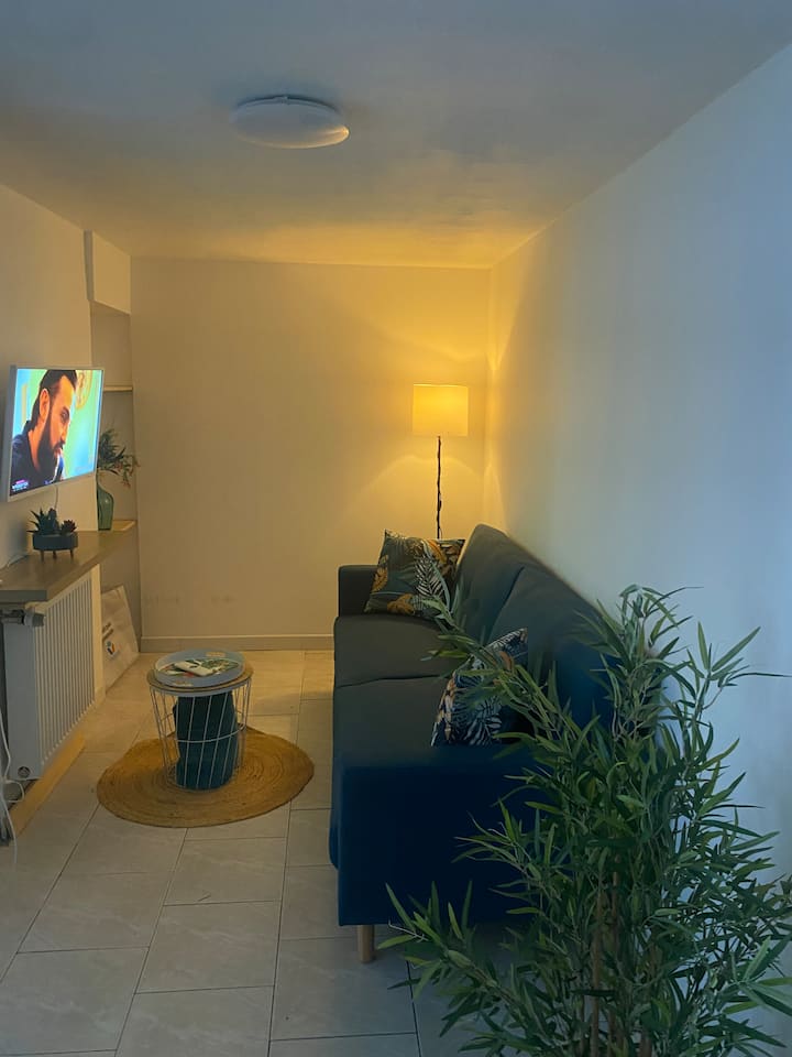 Agréable Maison Avec Parking  Gratuit - Saint-Amand-les-Eaux