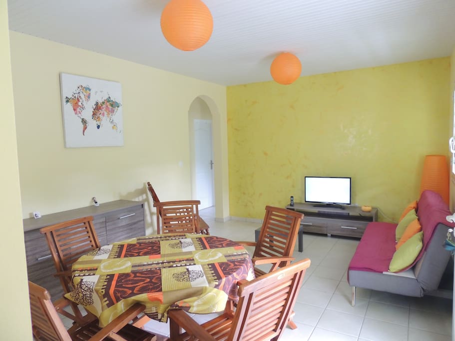 Large living room with futon/bed, flat screen TV