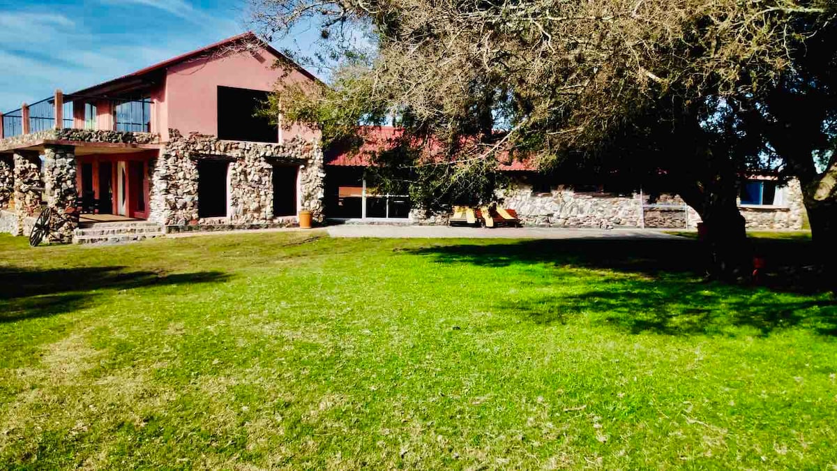 A spacious property is surrounded by lush green grass and features a blend of stone and modern architecture. Large windows allow natural light to fill the interior, while outdoor seating is positioned for relaxation. A prominent tree offers shade in the expansive yard.