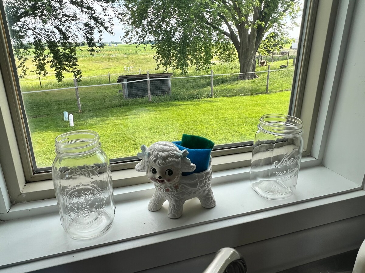 A windowsill is adorned with two glass jars and a ceramic sheep figurine. The sheep has a blue accent and is positioned in the center. Outside the window, a grassy field is visible, framed by a large tree and a fenced area.