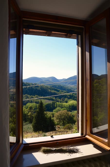 View from the Mountain View Room