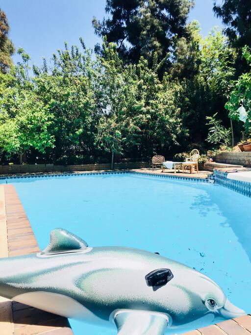 Pool very big with diving board