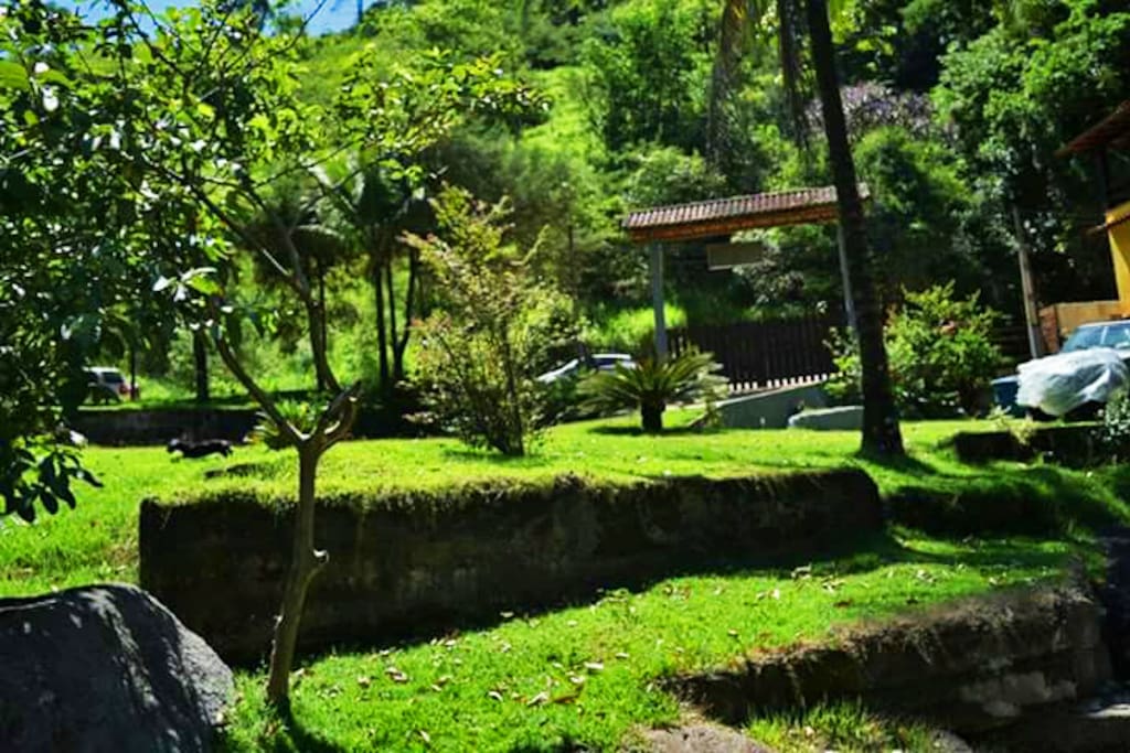 Garden/ Jardim