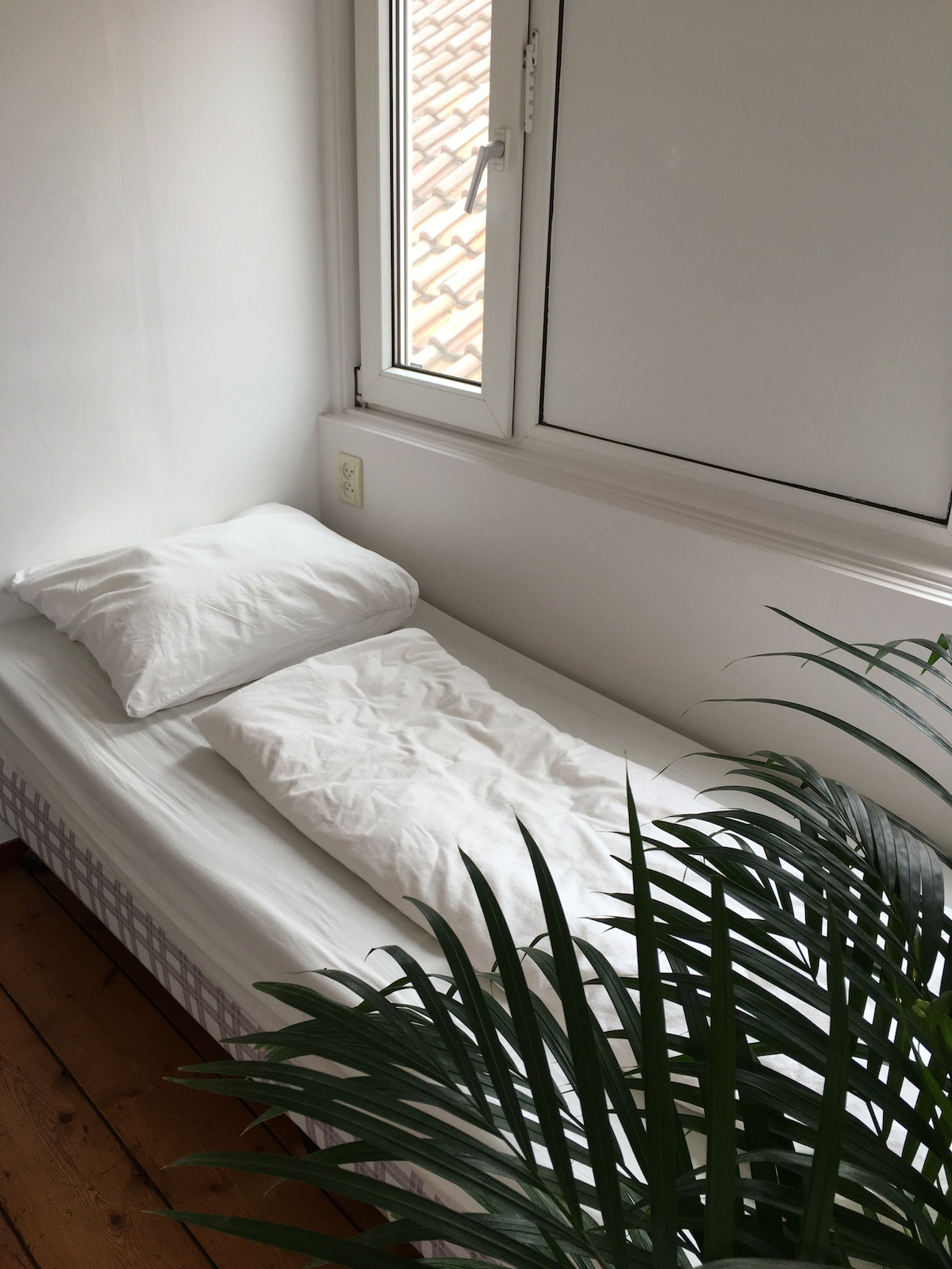 A single bed is positioned beside a window, featuring crisp white linens and two pillows. A green plant adds a touch of nature, while natural light softly illuminates the space. The floor reveals warm wooden planks, contributing to a calming environment.