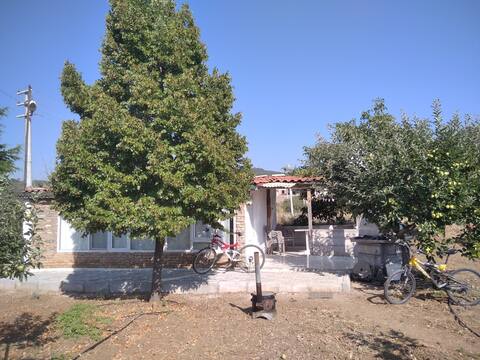 Aries garden house