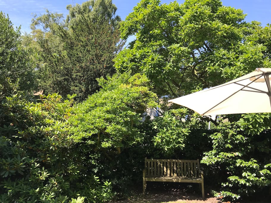 Front garden