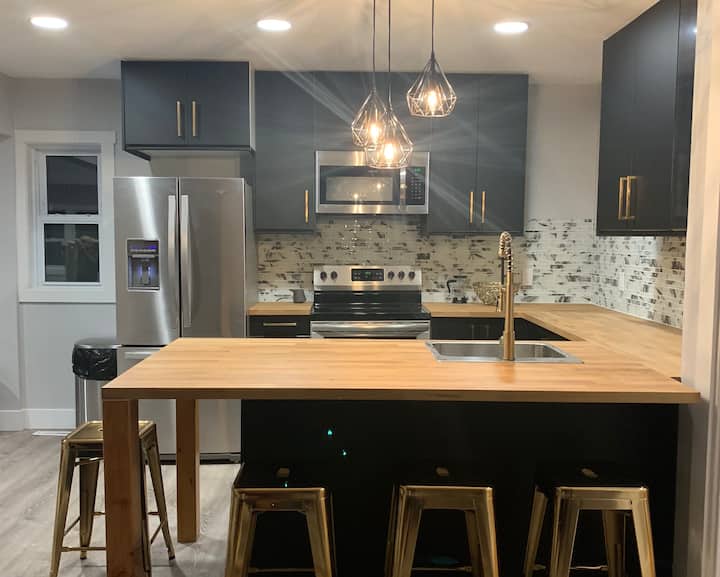 Mid Century Modern Renovation 10min Walk to ND Houses for Rent in