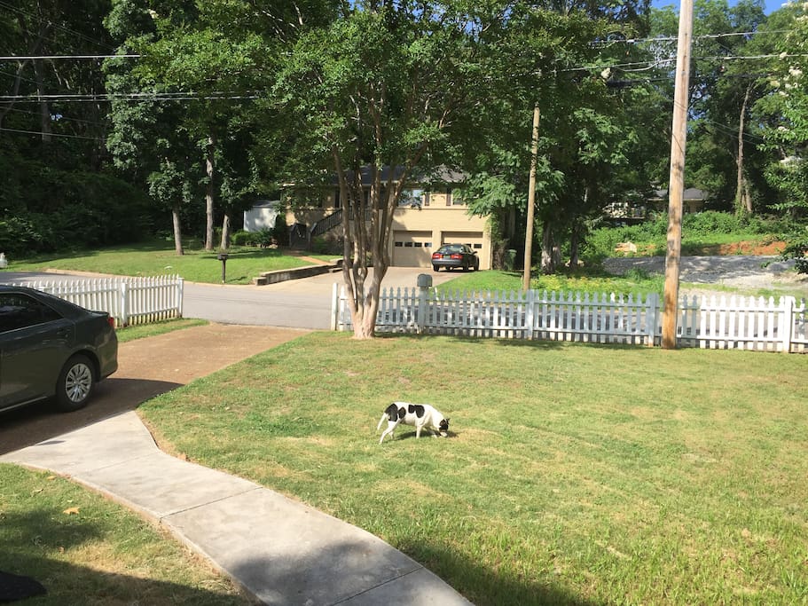 Front yard