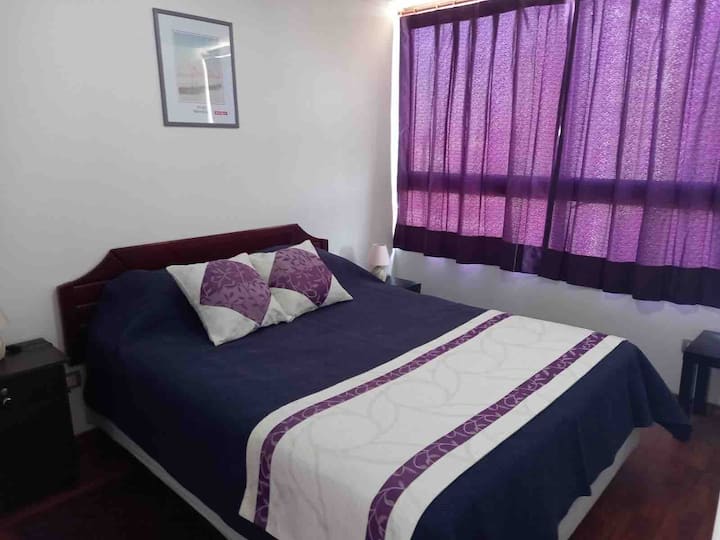 Lindo Apartamento En Stgo Centro - Santiago (Chile)