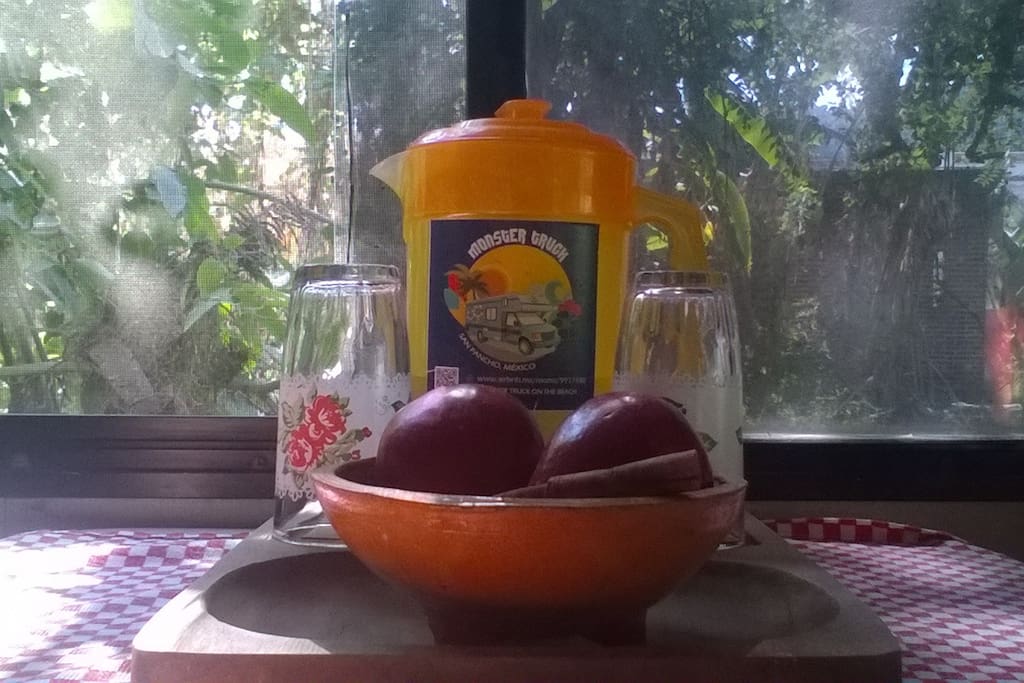 Monster Truck Drink Water from Agua San Pancho our purificated water
