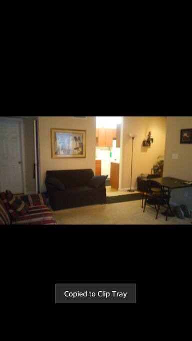 Living area/kitchen