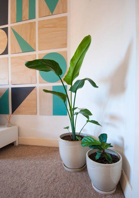 The indoor plans