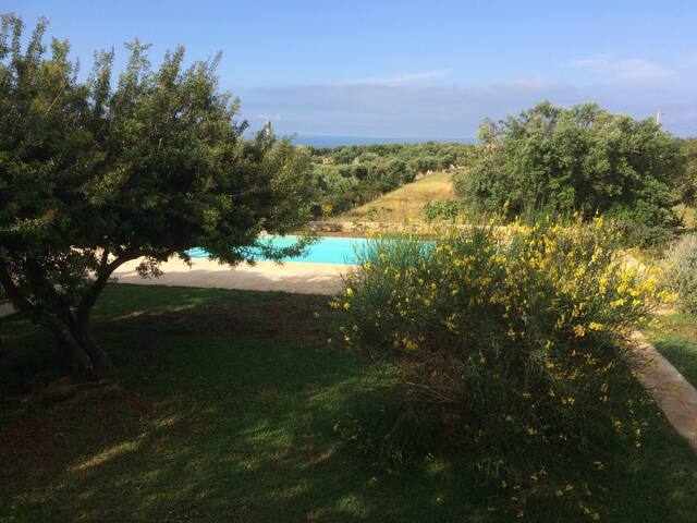 Villa Domiziana 1 gallery image 2